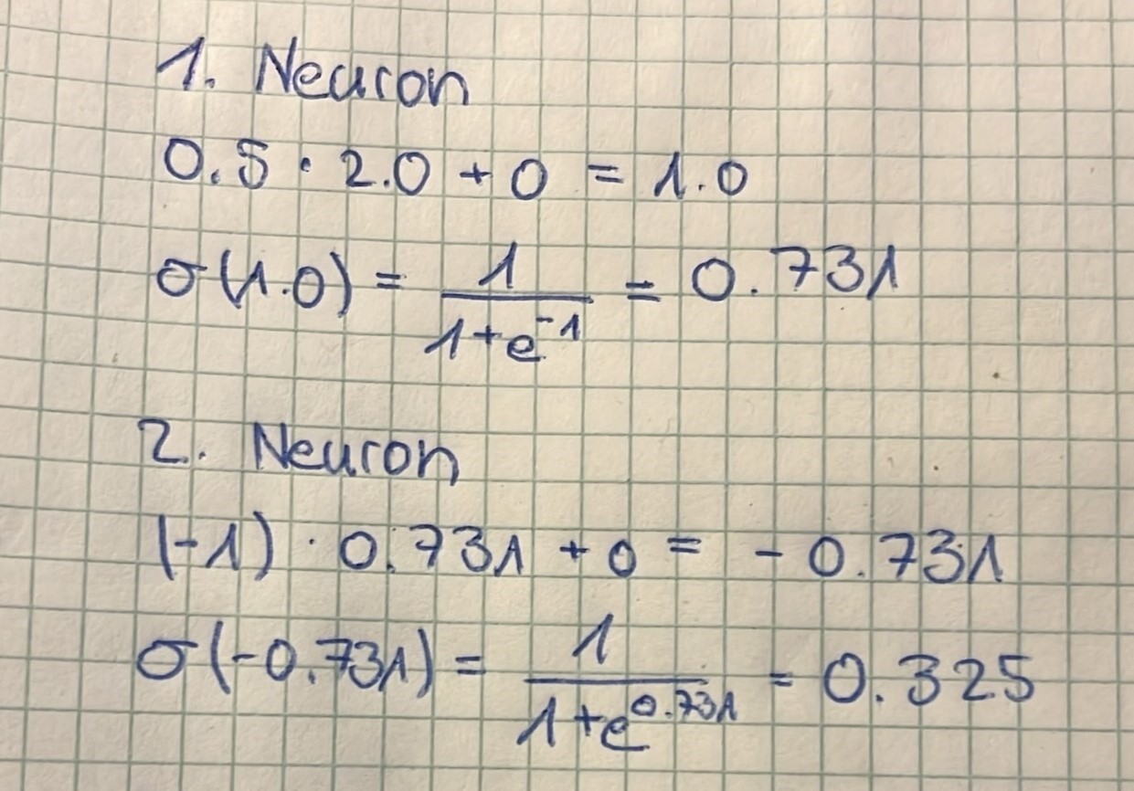 Forward Pass Calculation